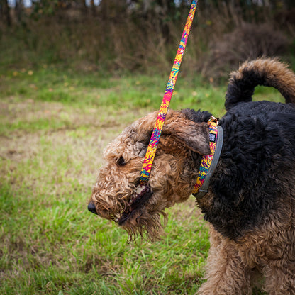 VIVA LA DOG KOLORPOP -klipsupanta