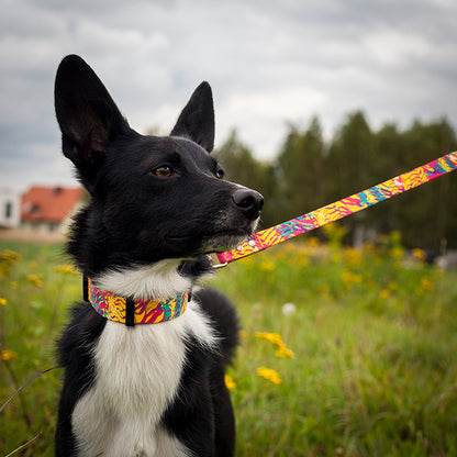 VIVA LA DOG KOLORPOP -klipsupanta