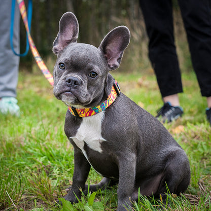 VIVA LA DOG KOLORPOP -klipsupanta