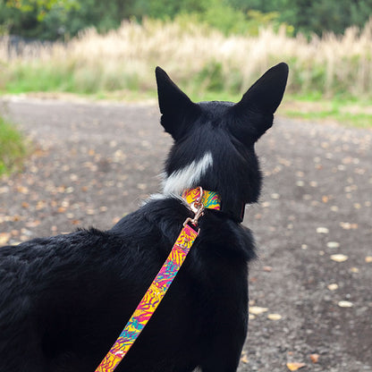 VIVA LA DOG KOLORPOP -hihna, säädettävä