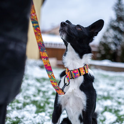 VIVA LA DOG KOLORPOP -hihna, säädettävä